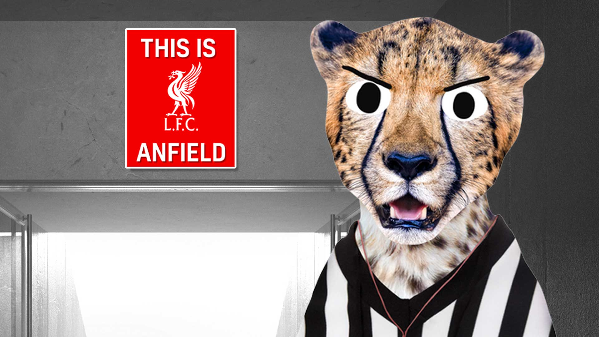 A cheetah next to the This is Anfield sign