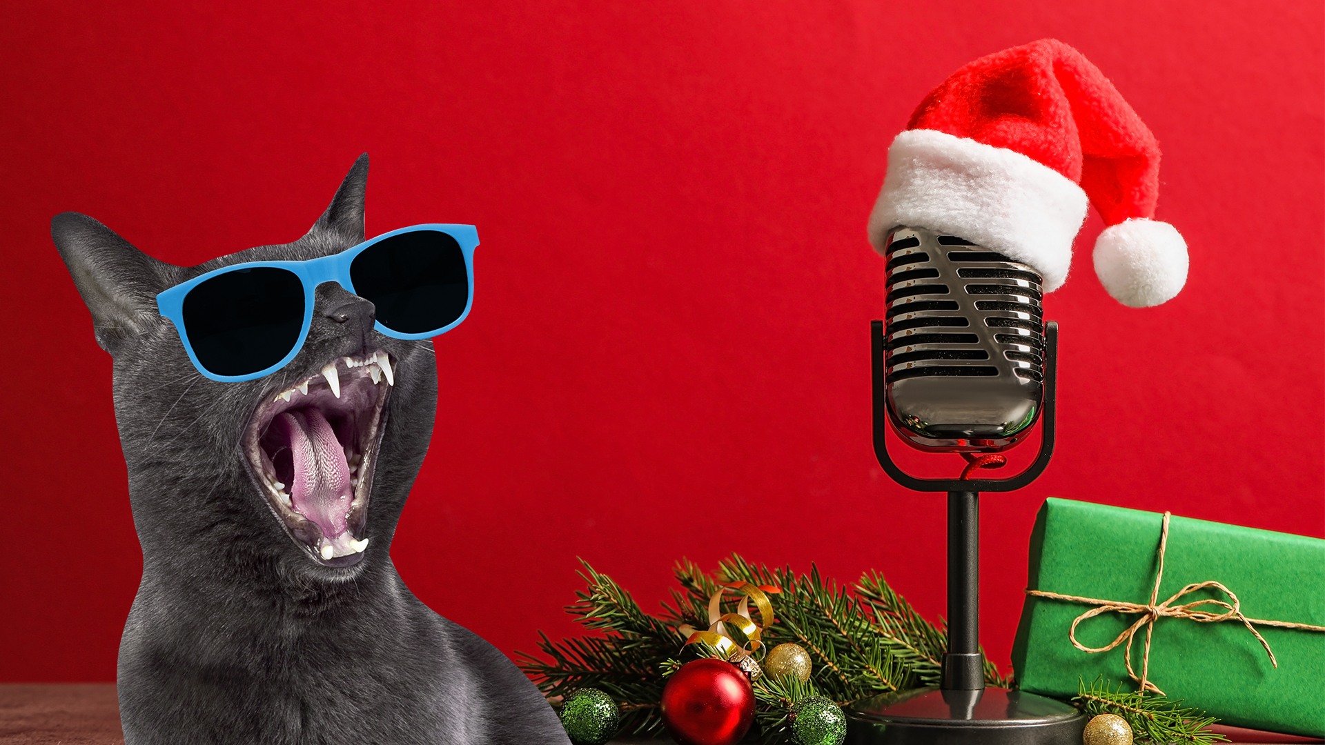 A cat singing a Christmas song