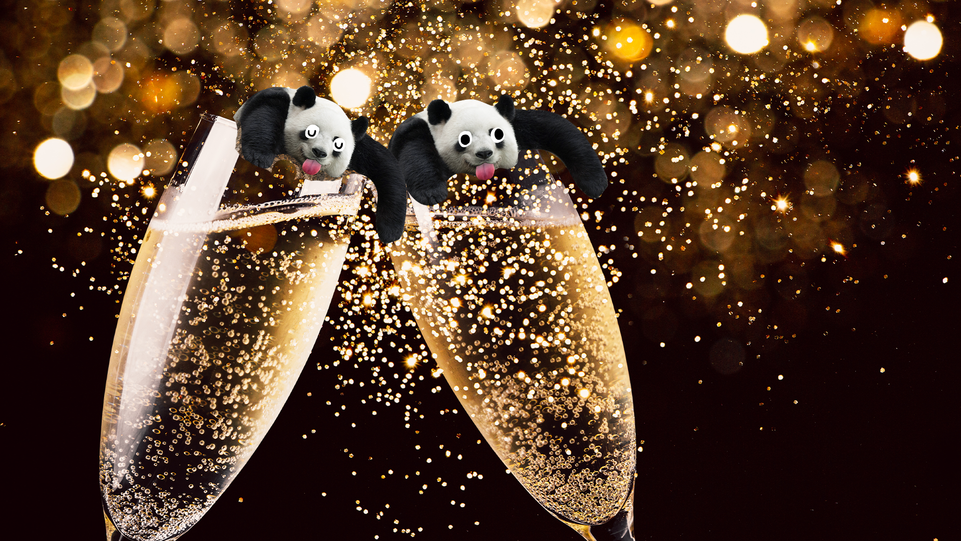 Two derpy pandas in champagne glasses