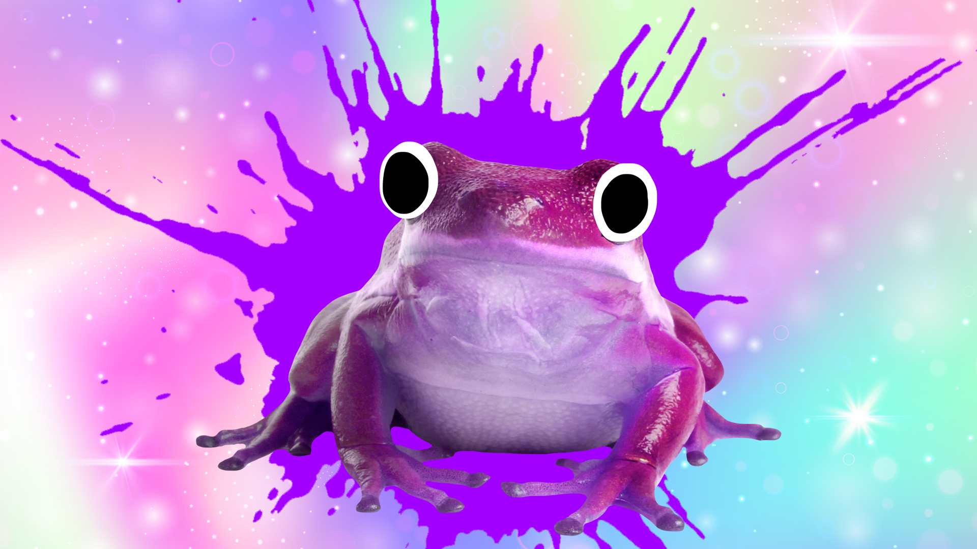 A purple frog on a sparkly background
