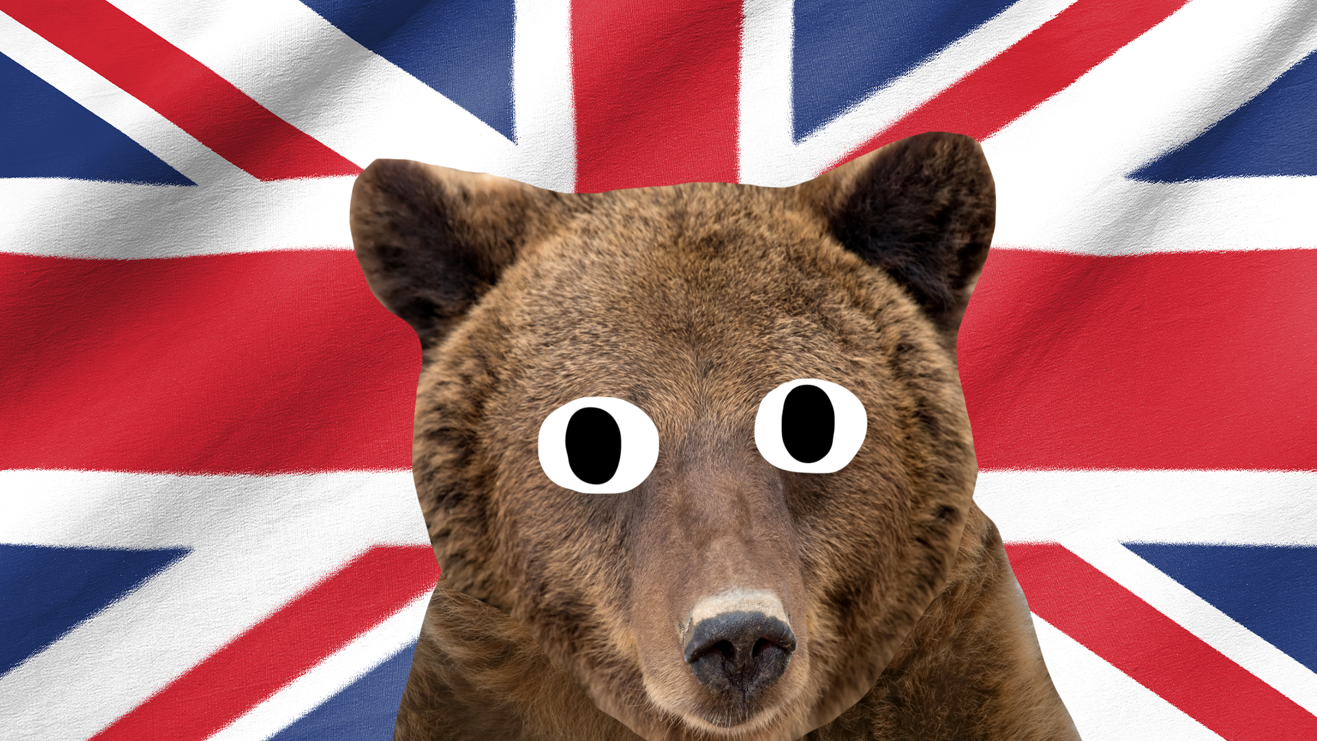A British bear