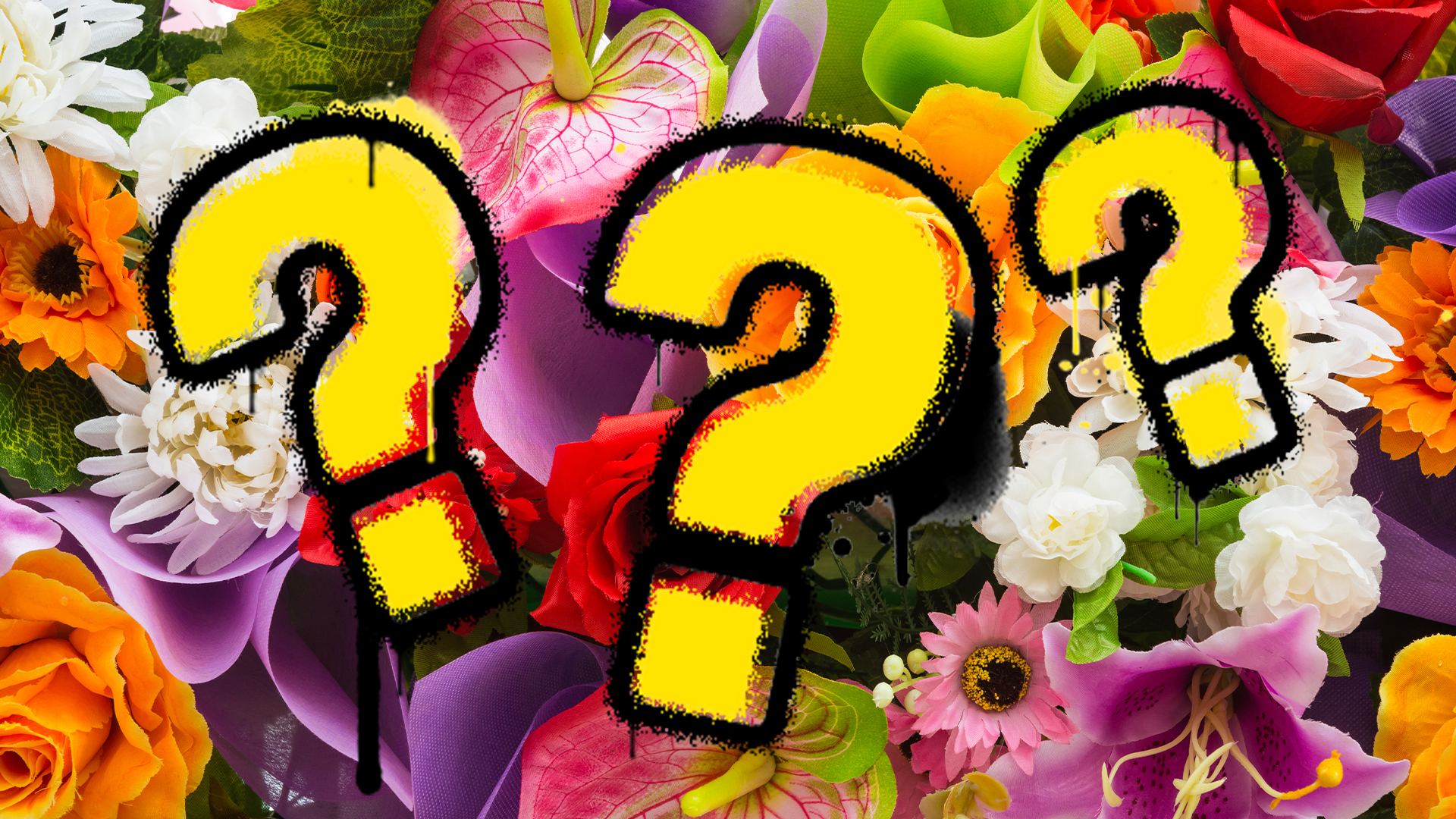 Flowers with graffiti question marks