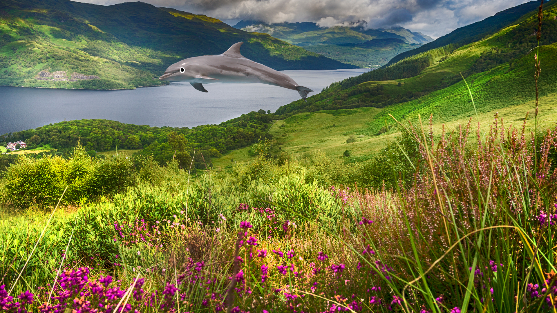 A loch with a Beano dolphin