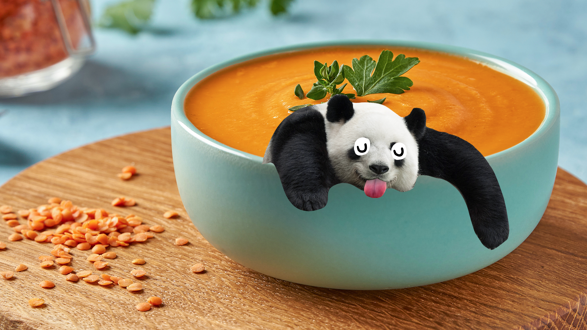 Derpy panda in some soup