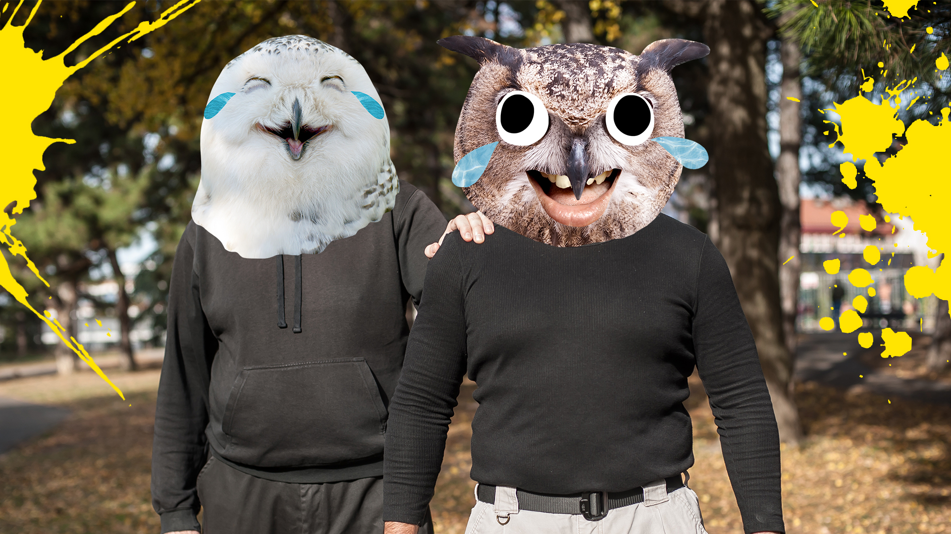 Two owls walking through a neighbourhood