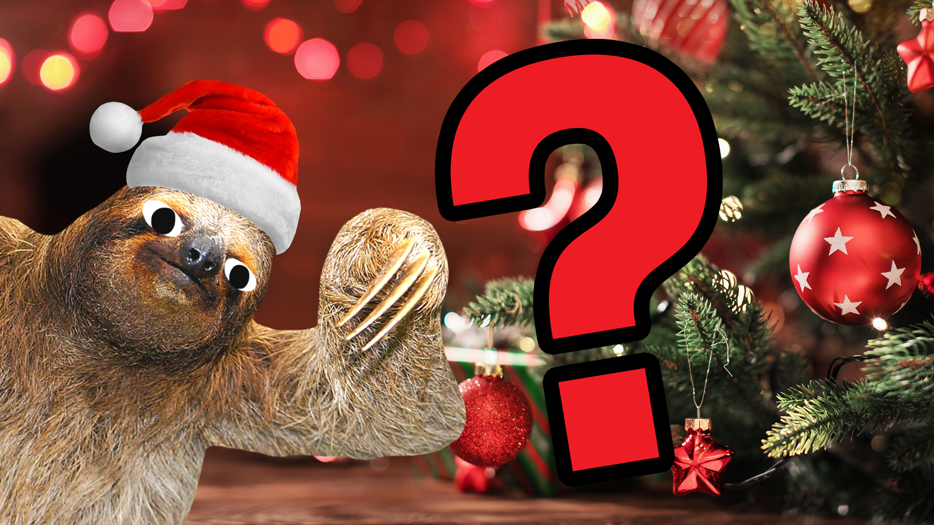 A sloth by a Christmas tree