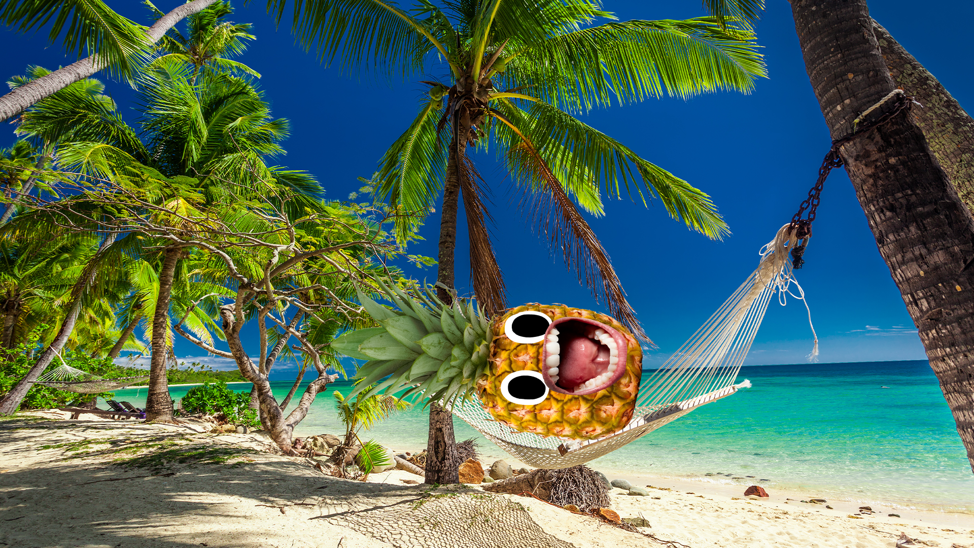 Screaming pineapple in a hammock on tropical beach