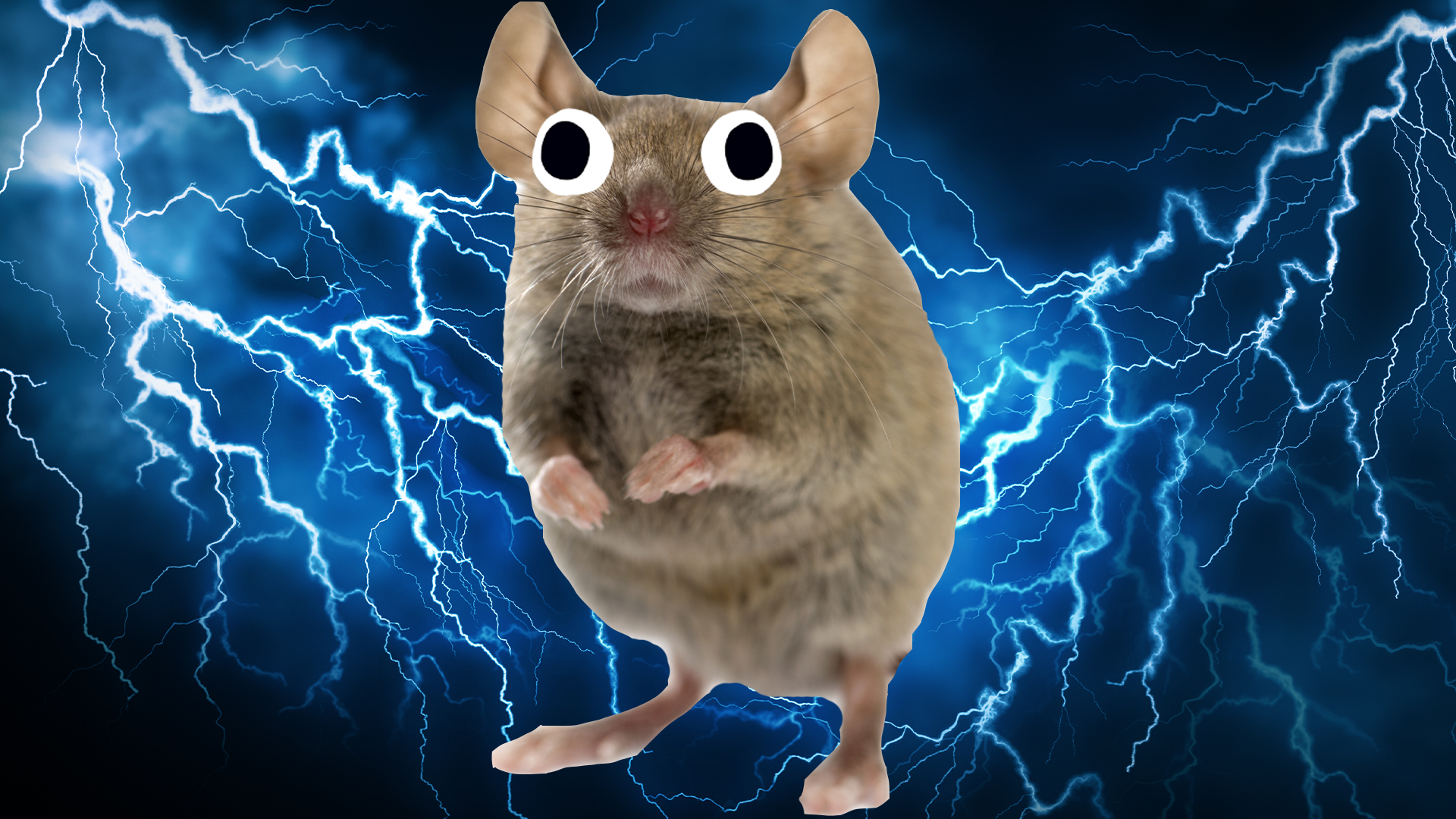 Mouse on lightning background