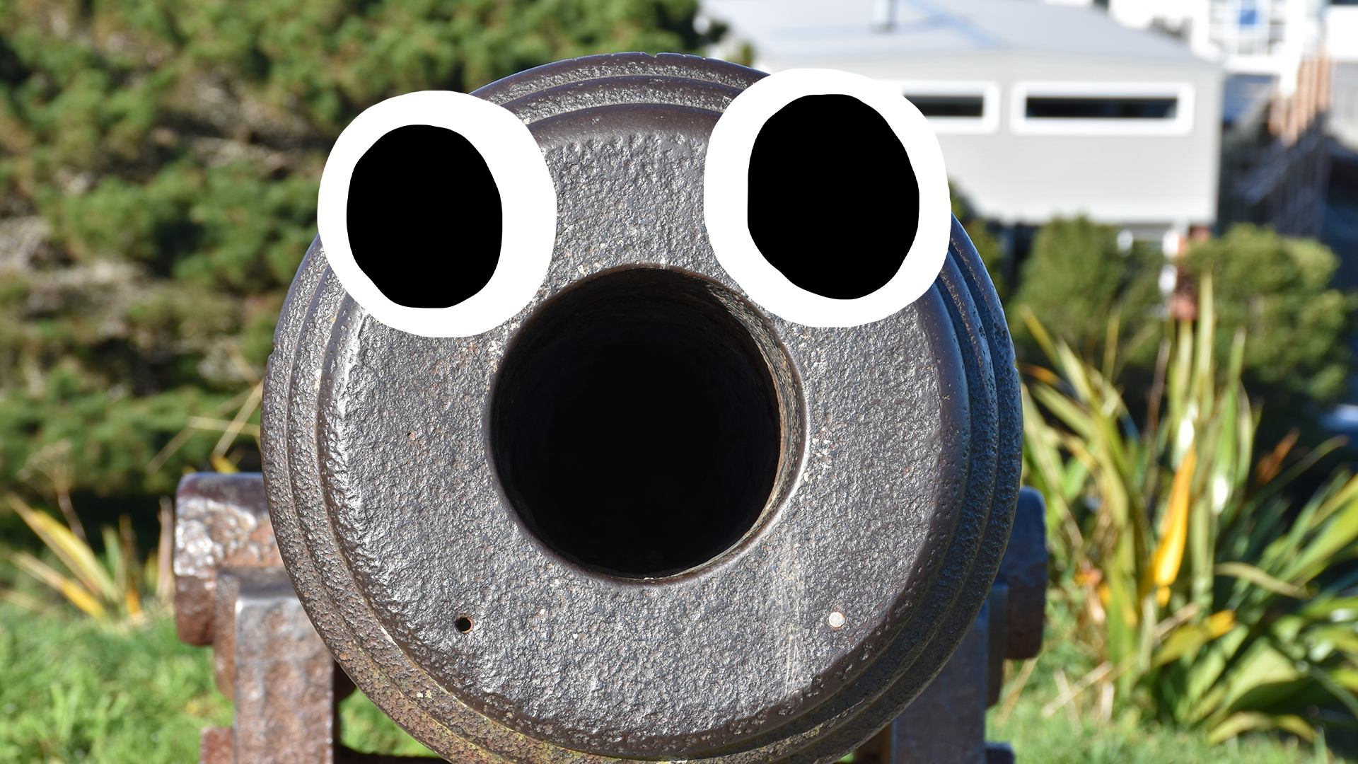 Cannon with goofy eyes