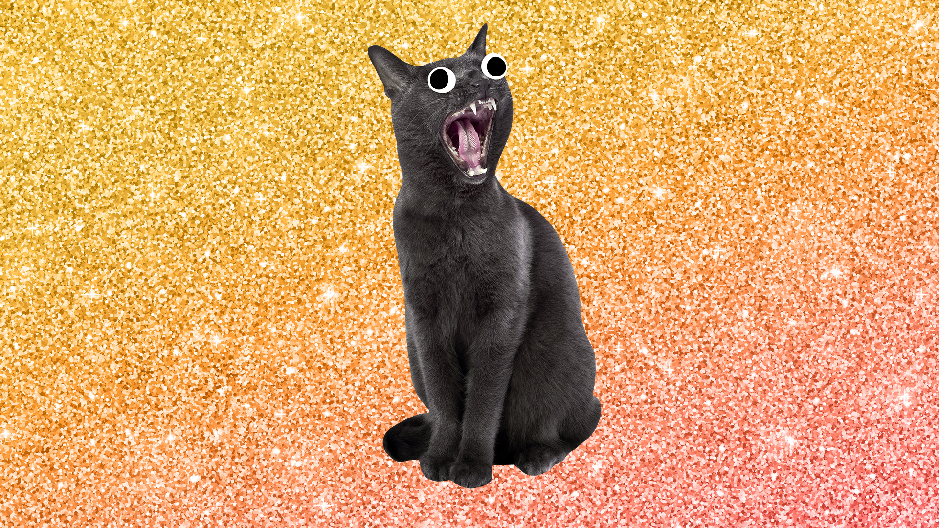 Screaming Beano cat on glitter background