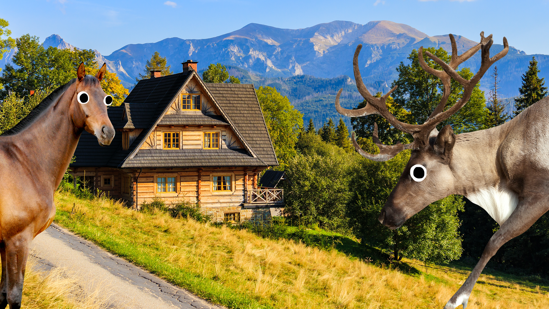 Cabin in the woods with Beano deer and horse