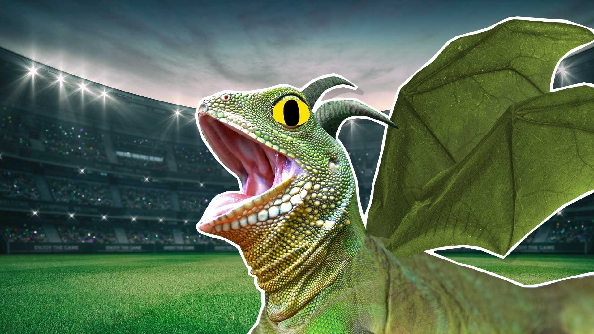 A dragon in a football stadium