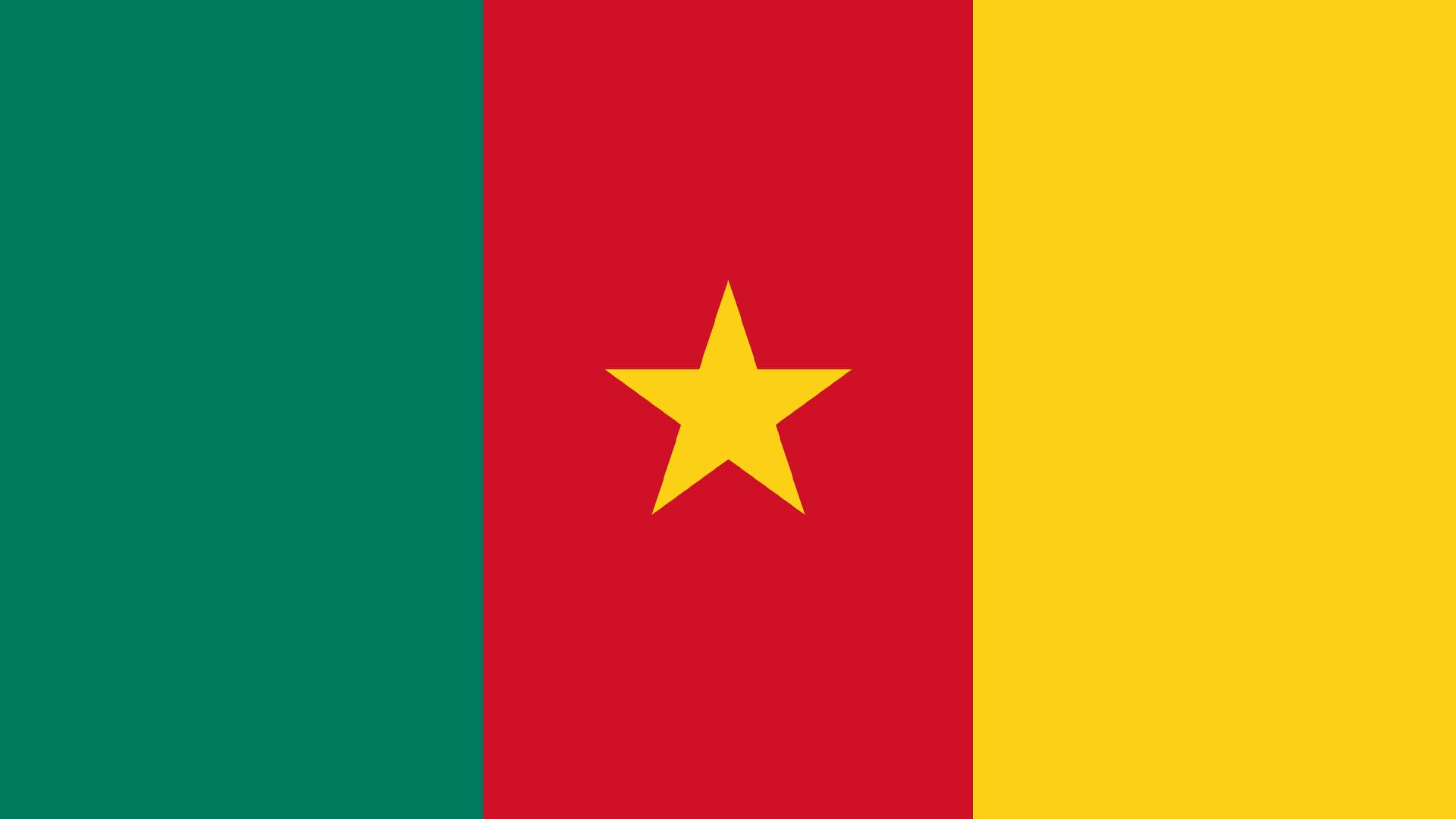 An African nation's flag with green, red and yellow