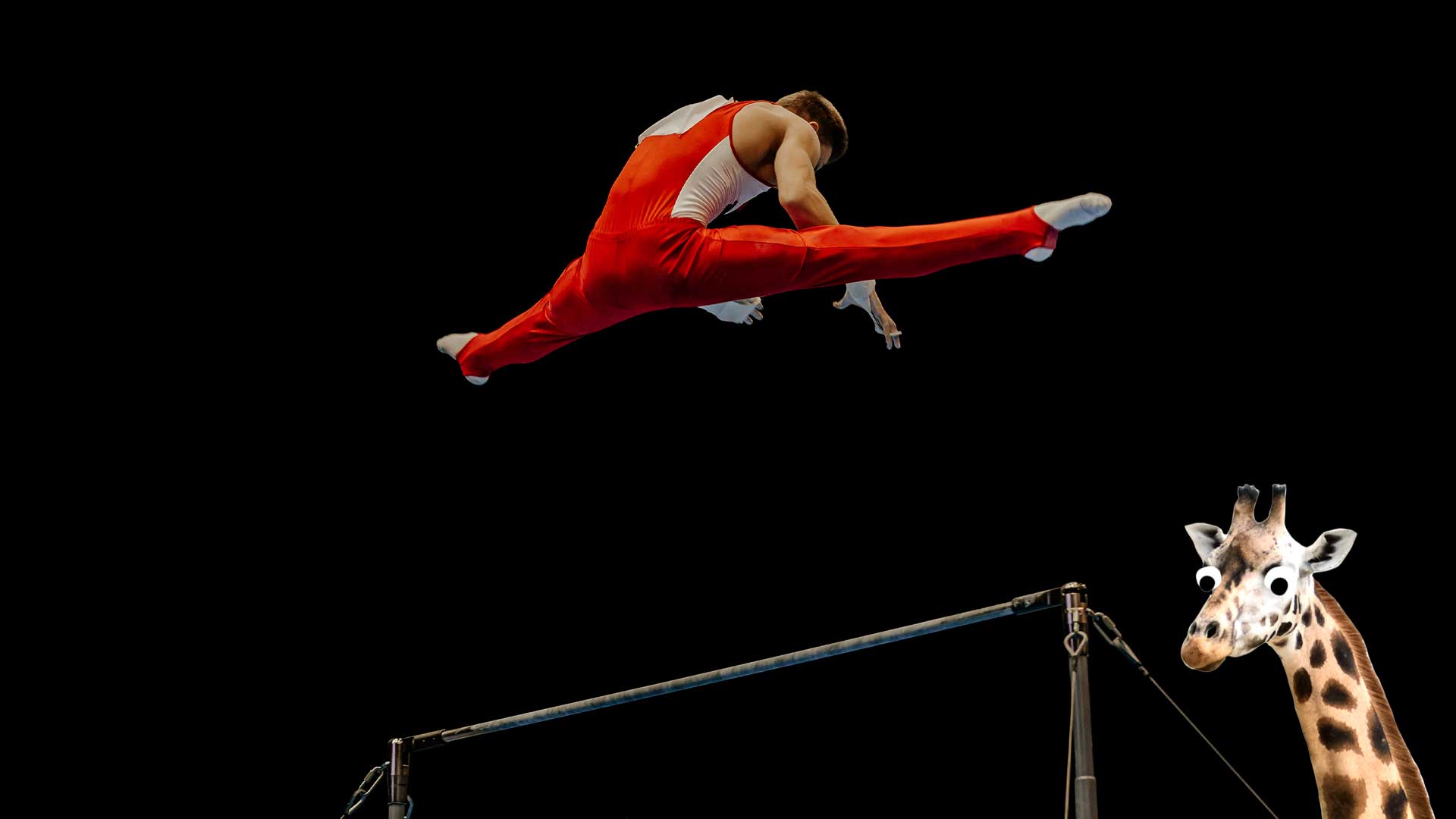 A gymnast on the high bar