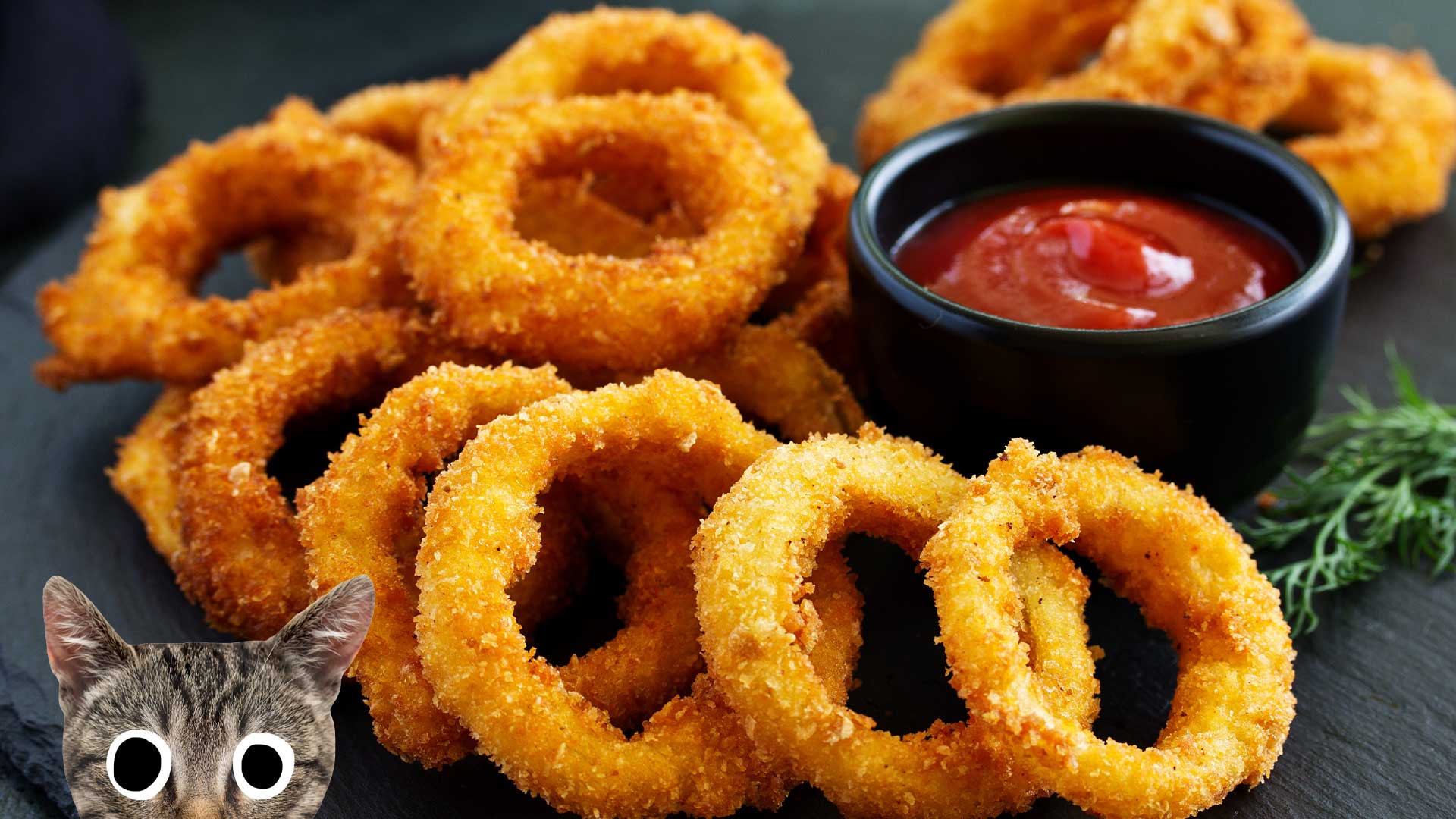 A plate of onion rings