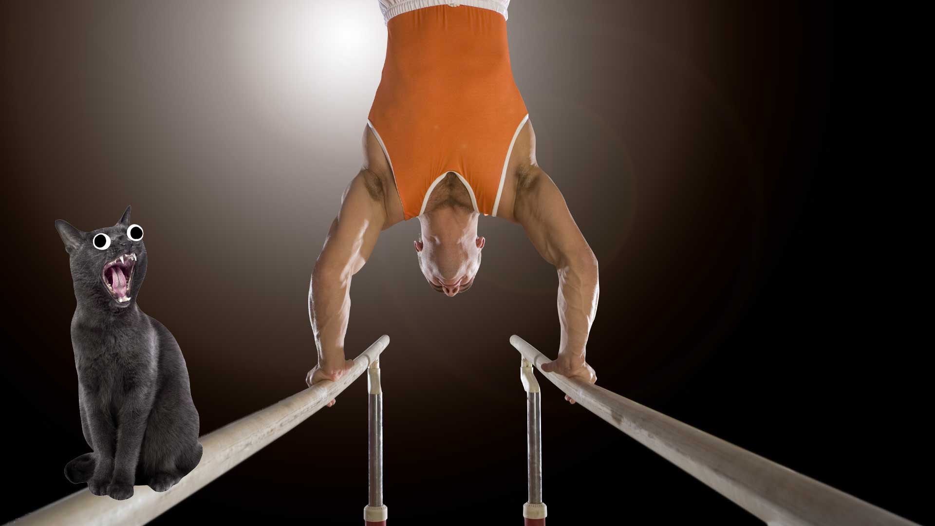 A gymnast on parallel bars
