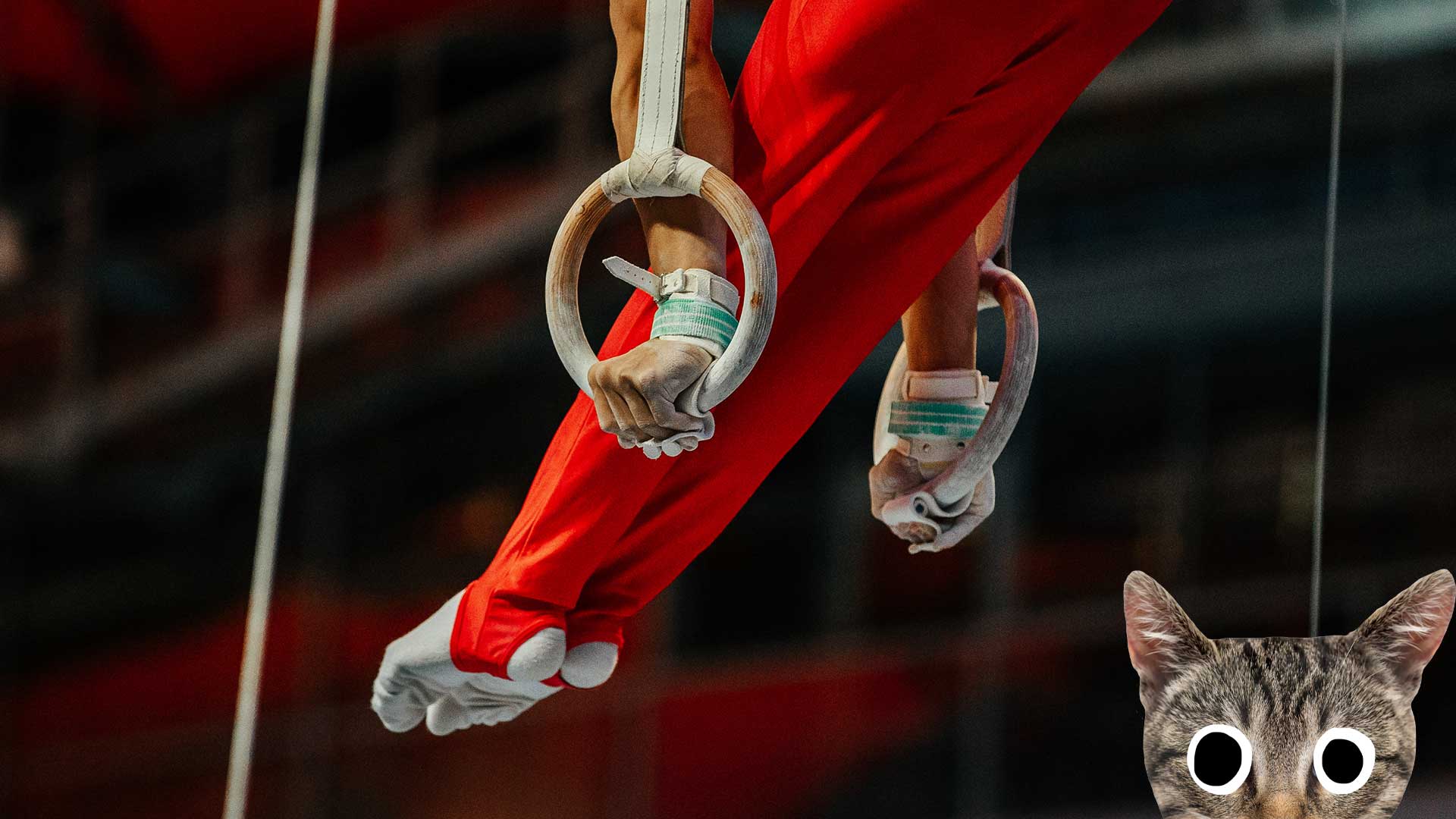 A gymnast on the still rings