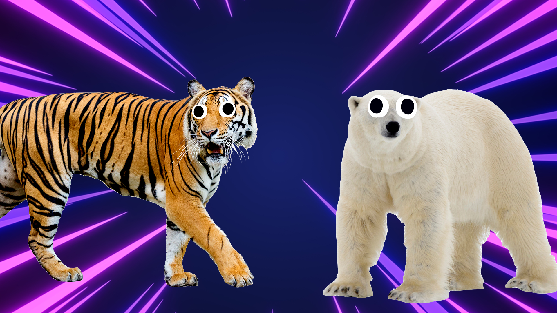 Beano tiger and polar bear on laser background