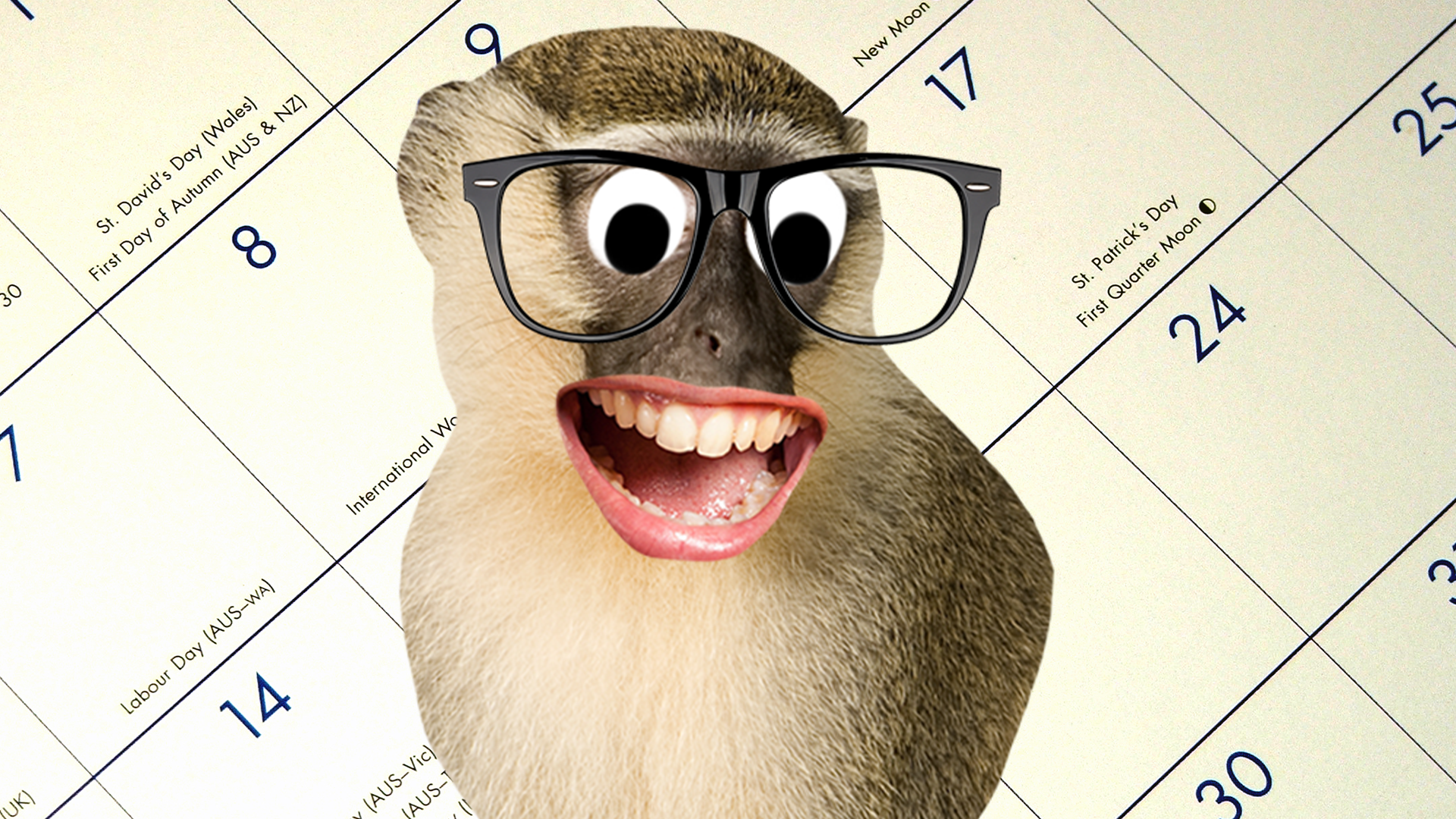 Goofy monkey in front of calendar 