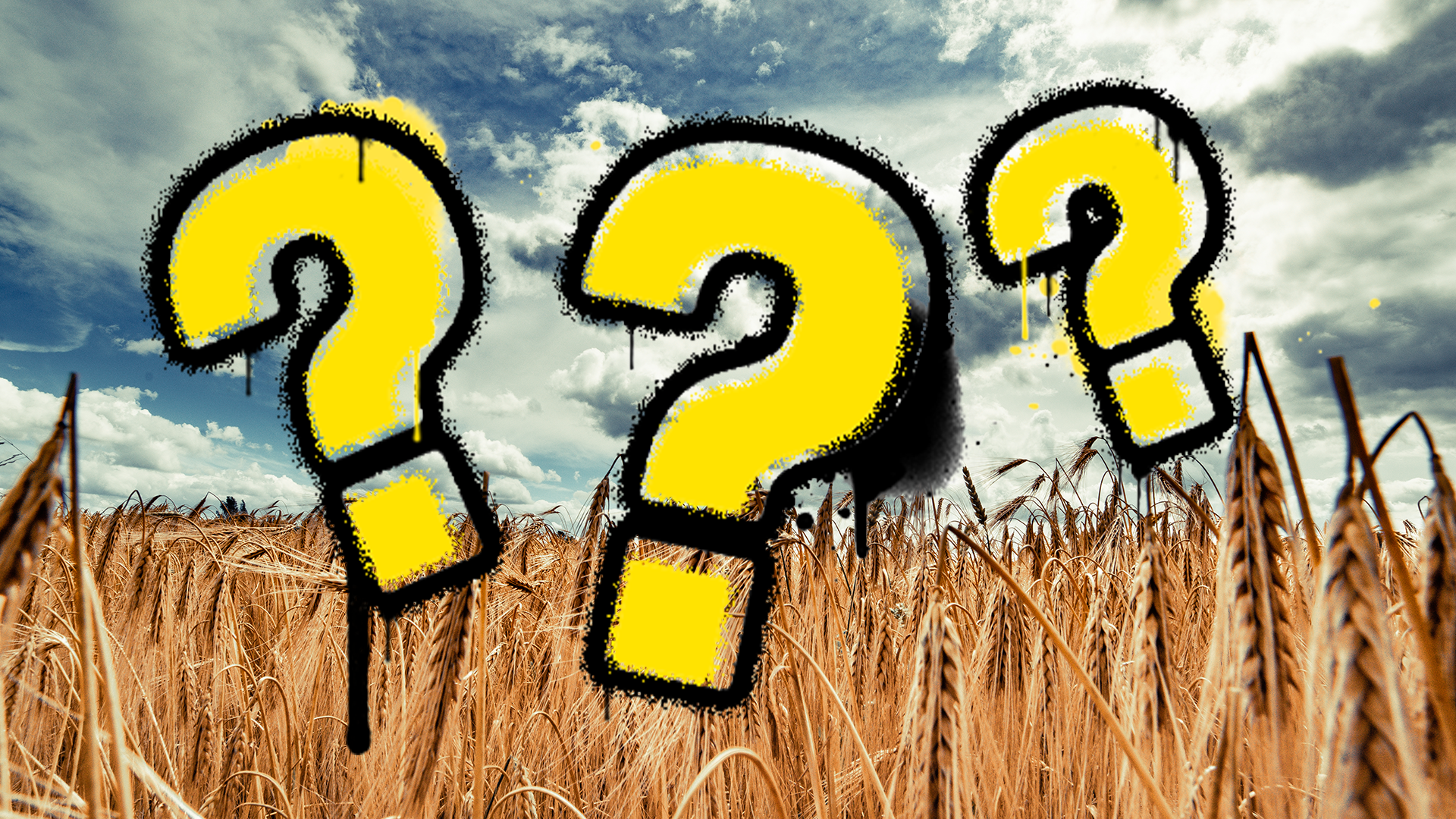 Question marks on wheat background