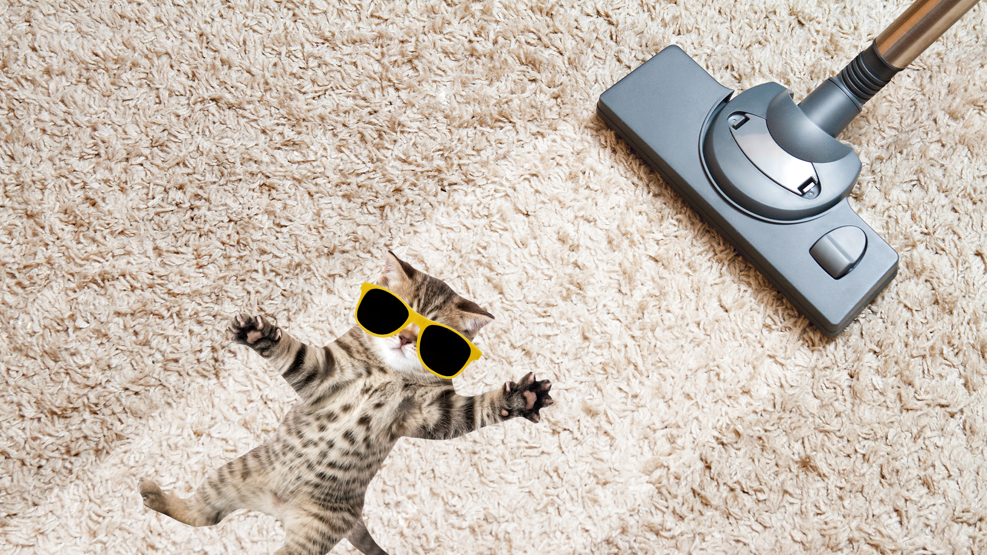 Hoovering carpet with Beano Kitten