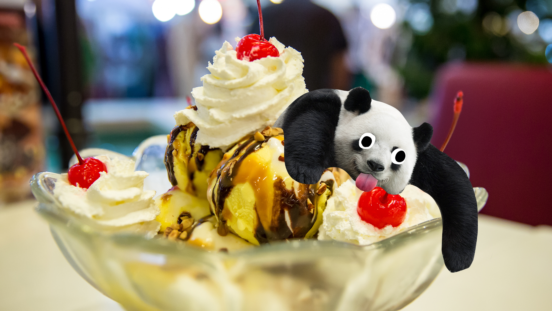 Derpy panda eating ice cream
