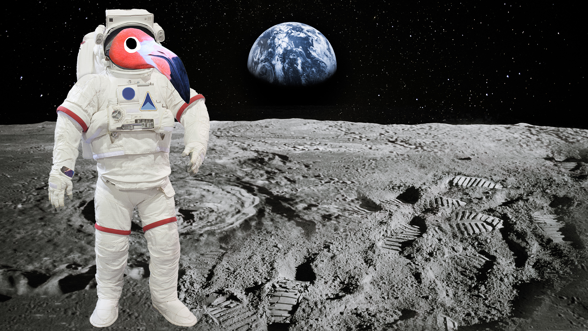 Flamingo in spacesuit on the moon