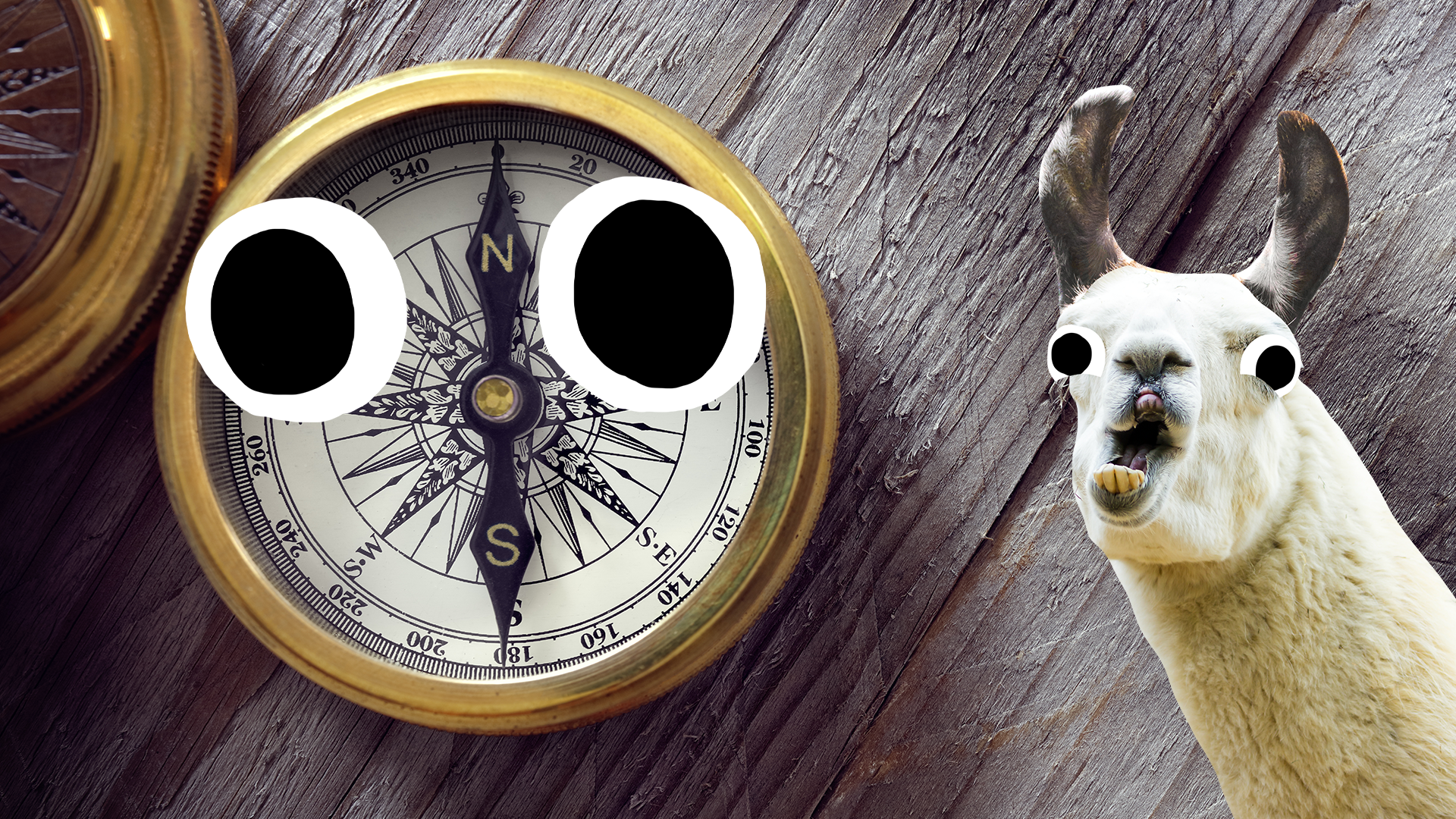 A golden compass with eyes and a derpy llama