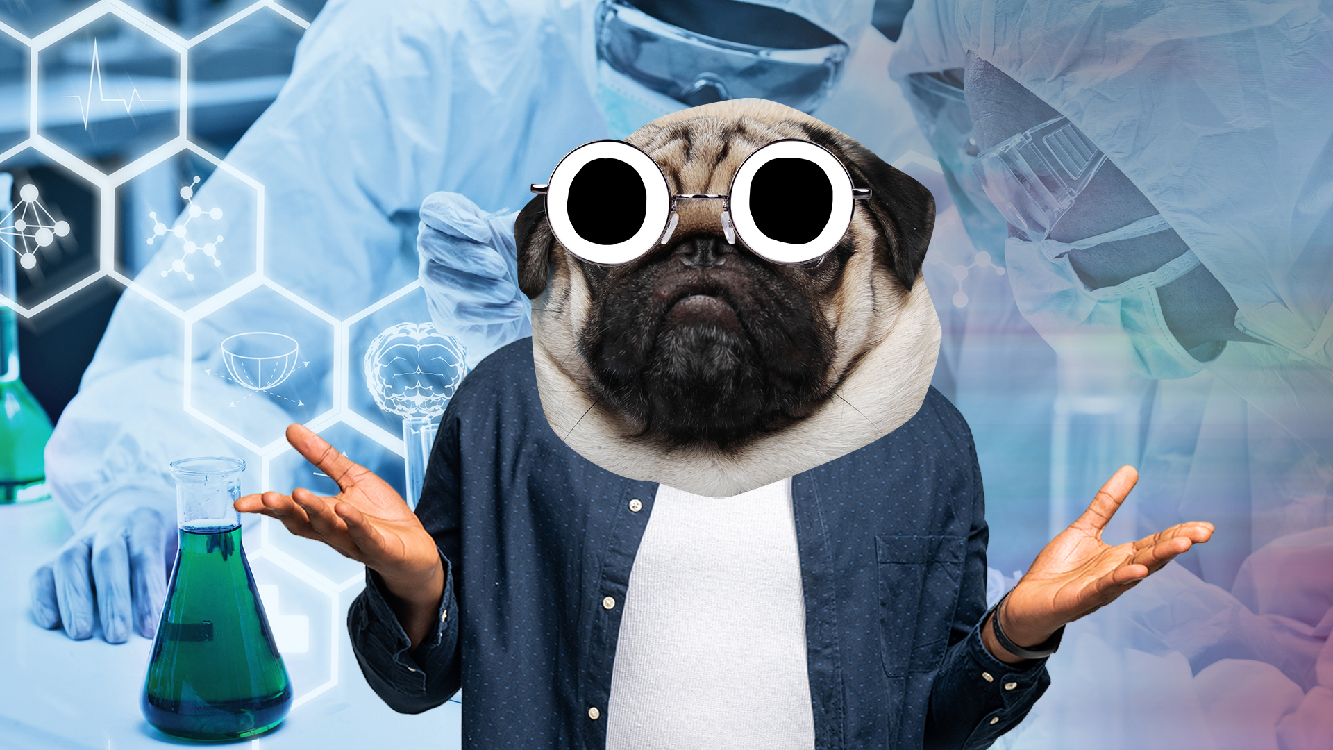 A pug in glasses shrugging against a science lab background