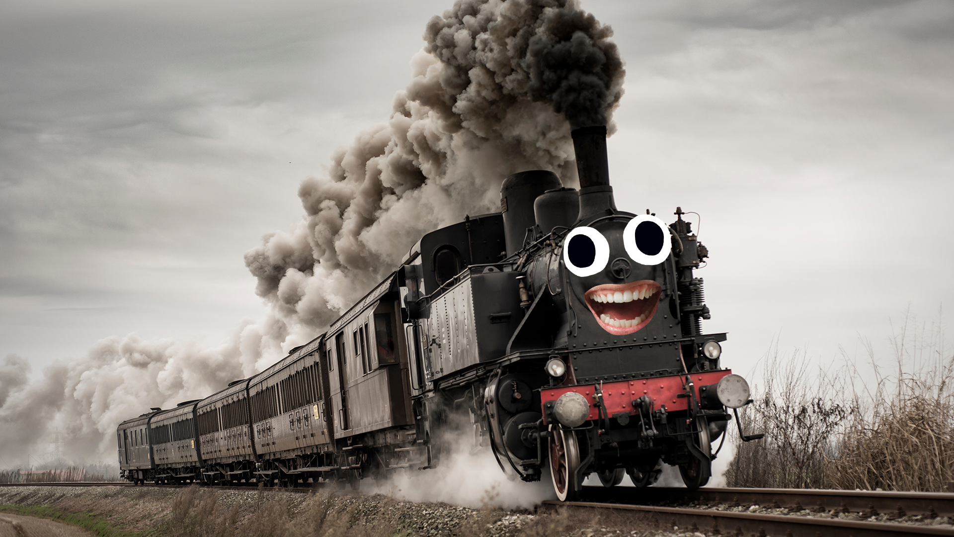 A steam train having a lovely time
