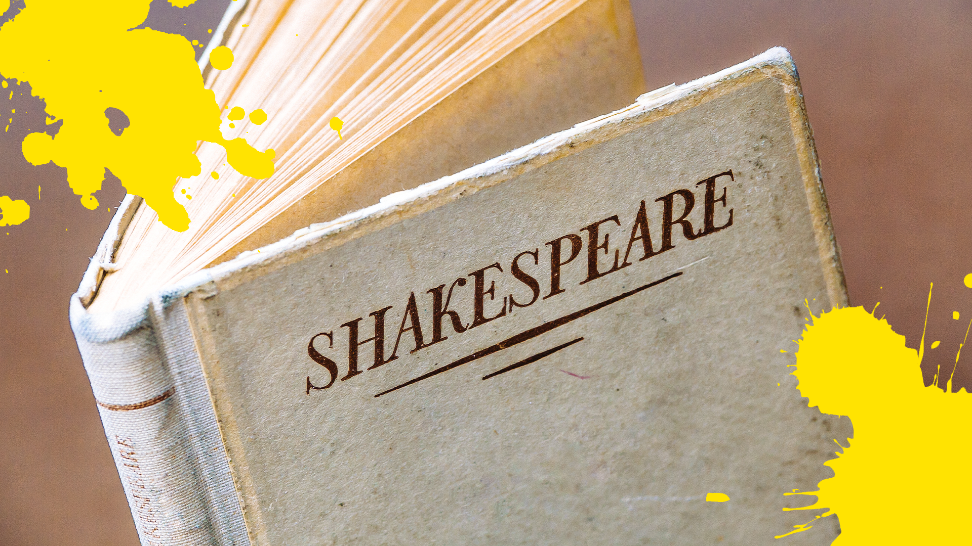 Book of Shakespeare and splats