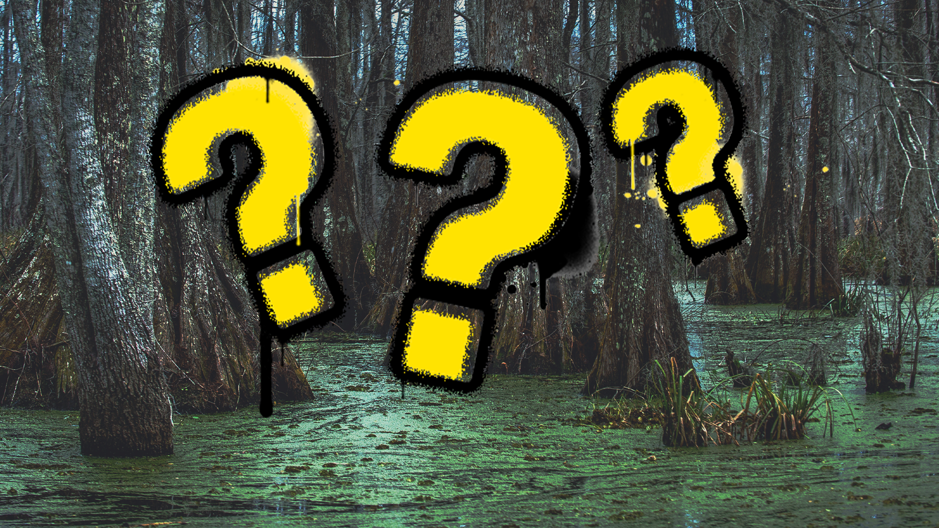 A swamp and question marks