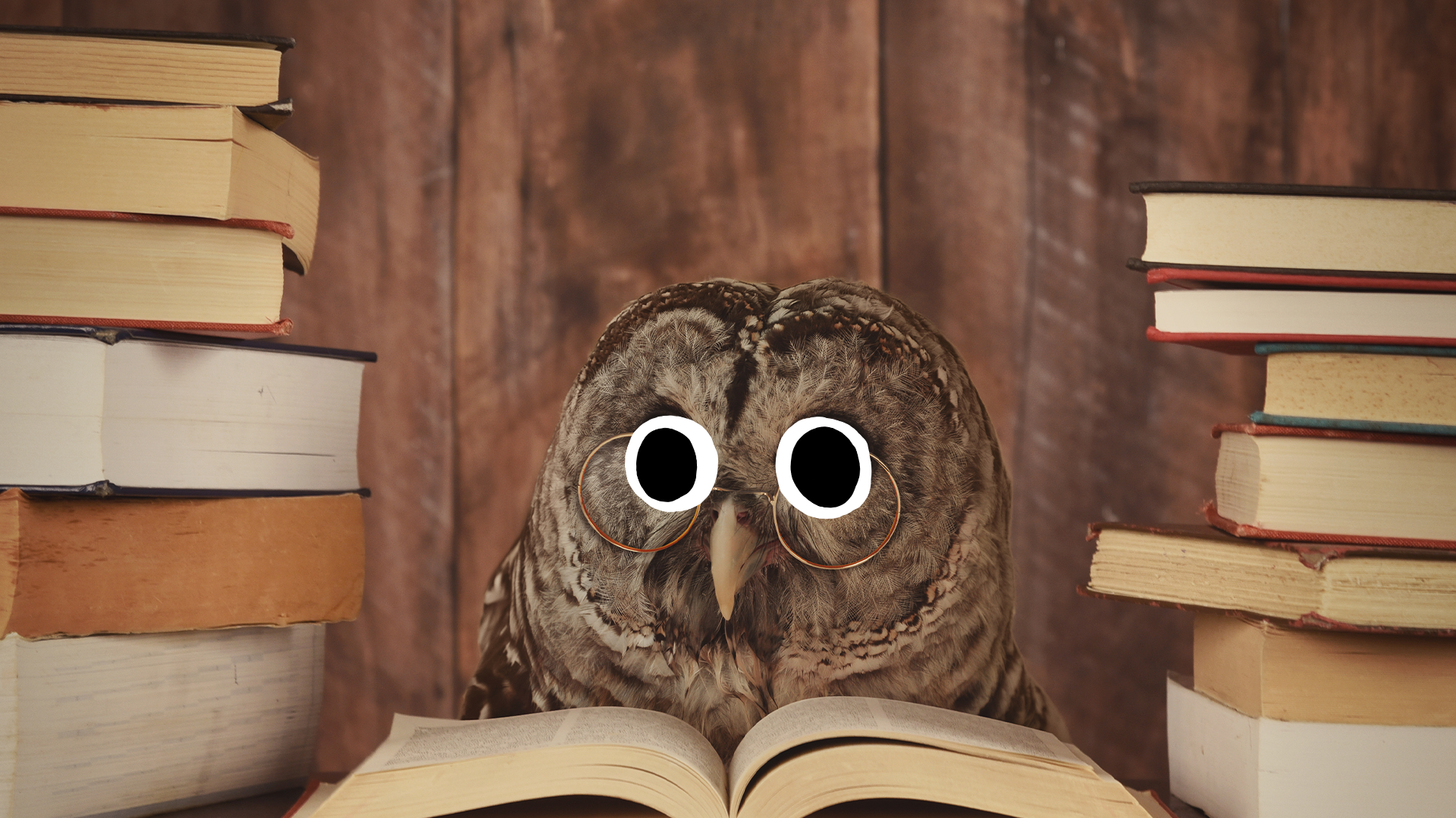 Owl reading