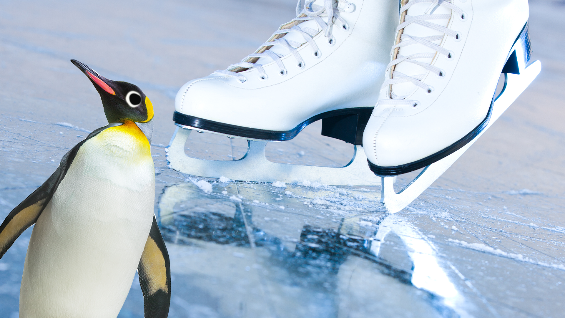 Derpy penguin and ice skates