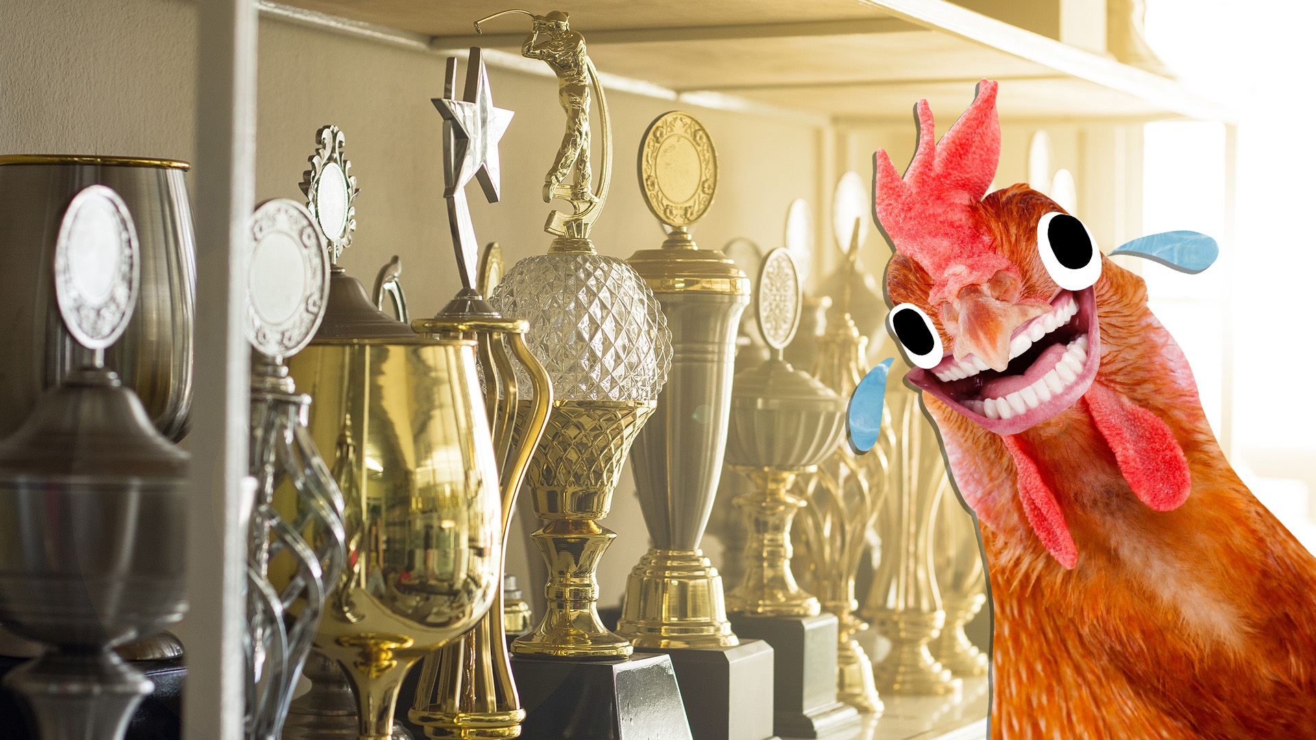 A chicken with a trophy cabinet 