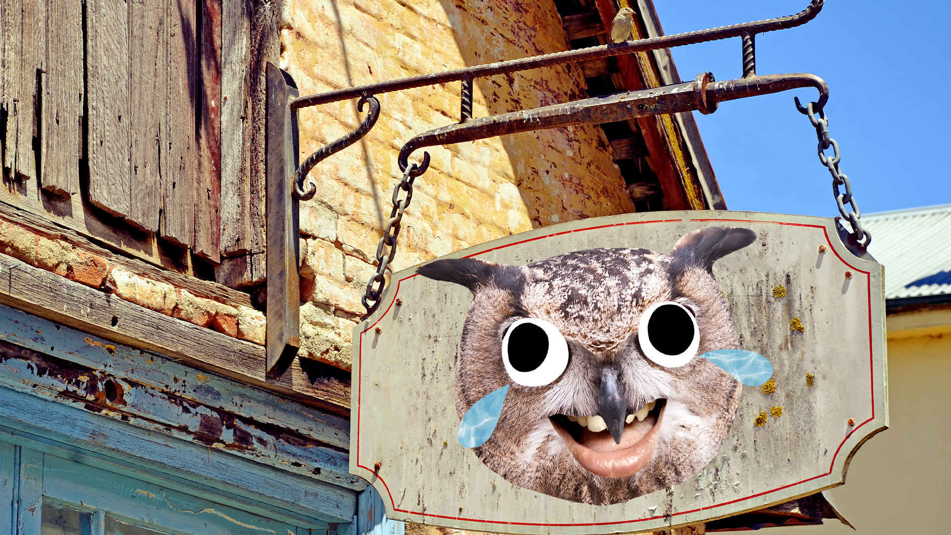 Old shop sign with laughing owl head