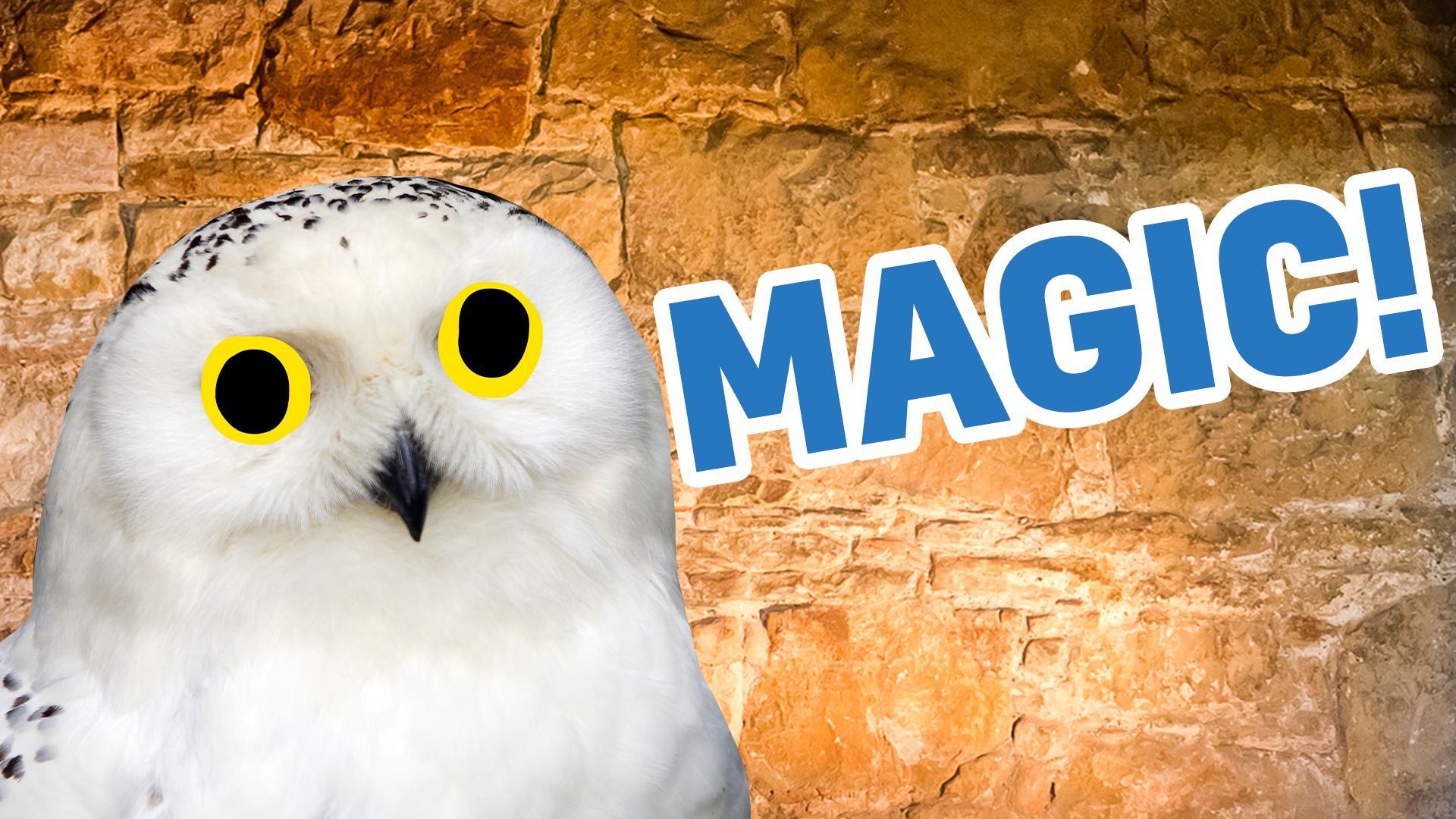 Magical! You know everything there is to know about Hedwig, congratulations! 