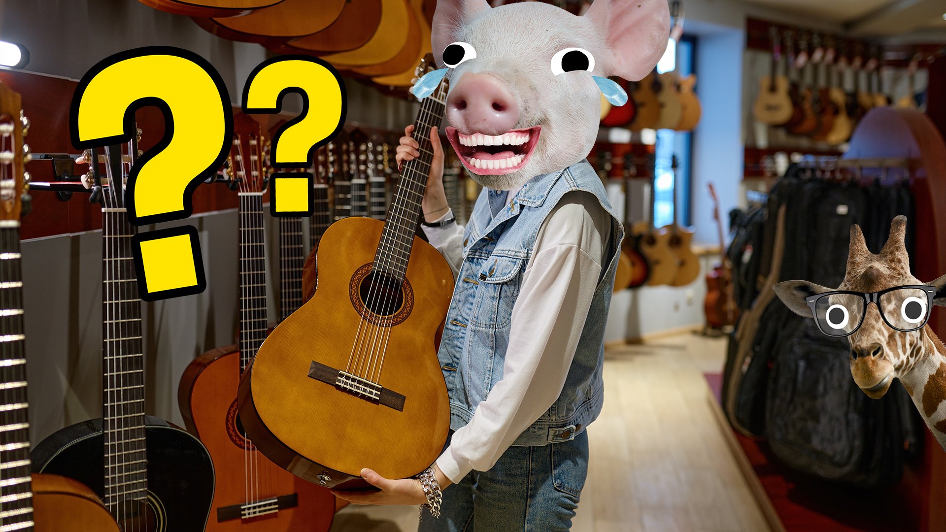 A pig holding an acoustic guitar in a music shop