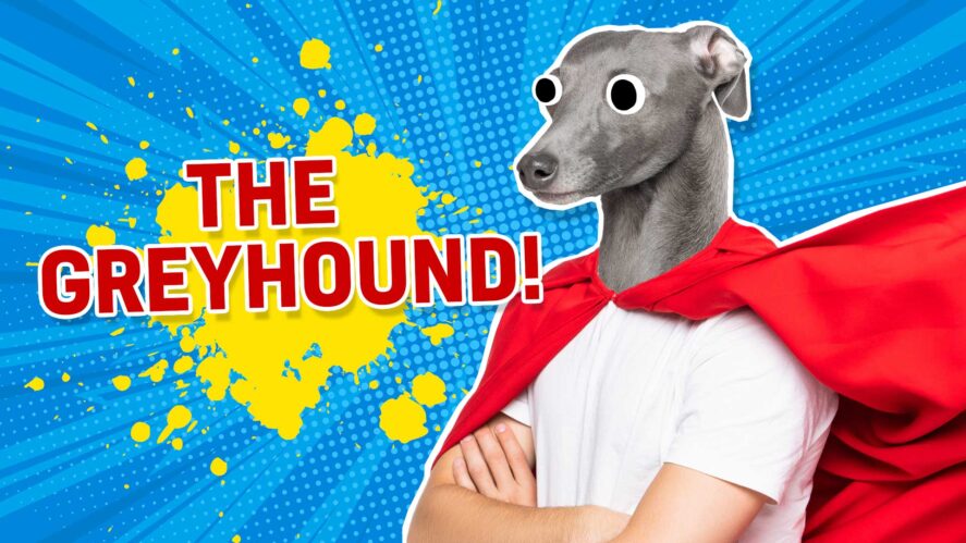 Result: The Greyhound