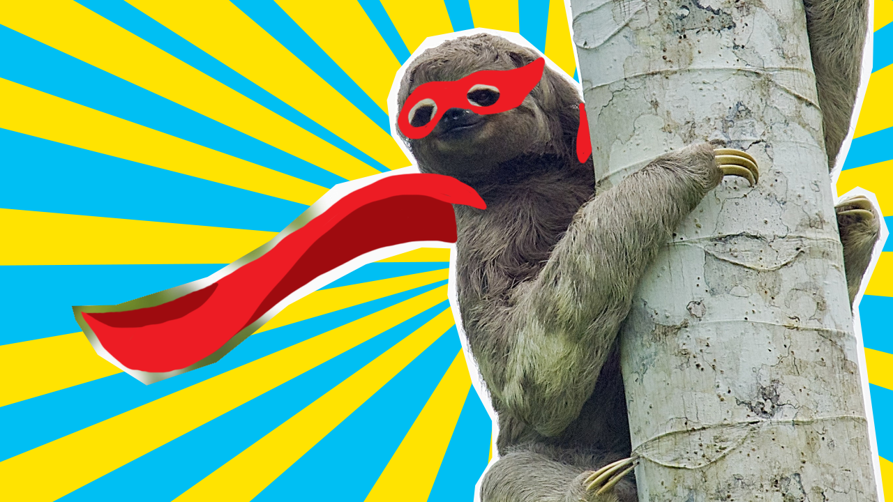 Super Sloth