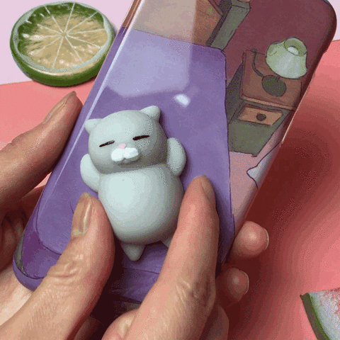 A squishy cat phone case