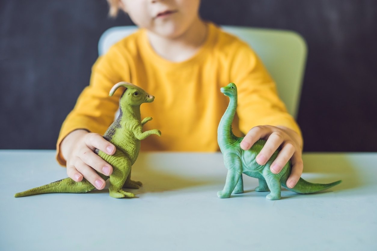 Boy playing with toy dinosaurs