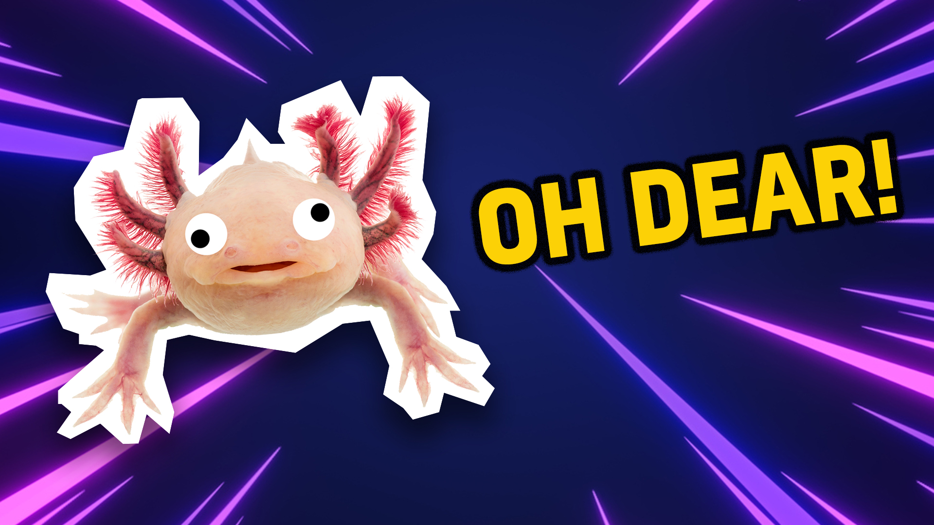 Axolotl says oh dear