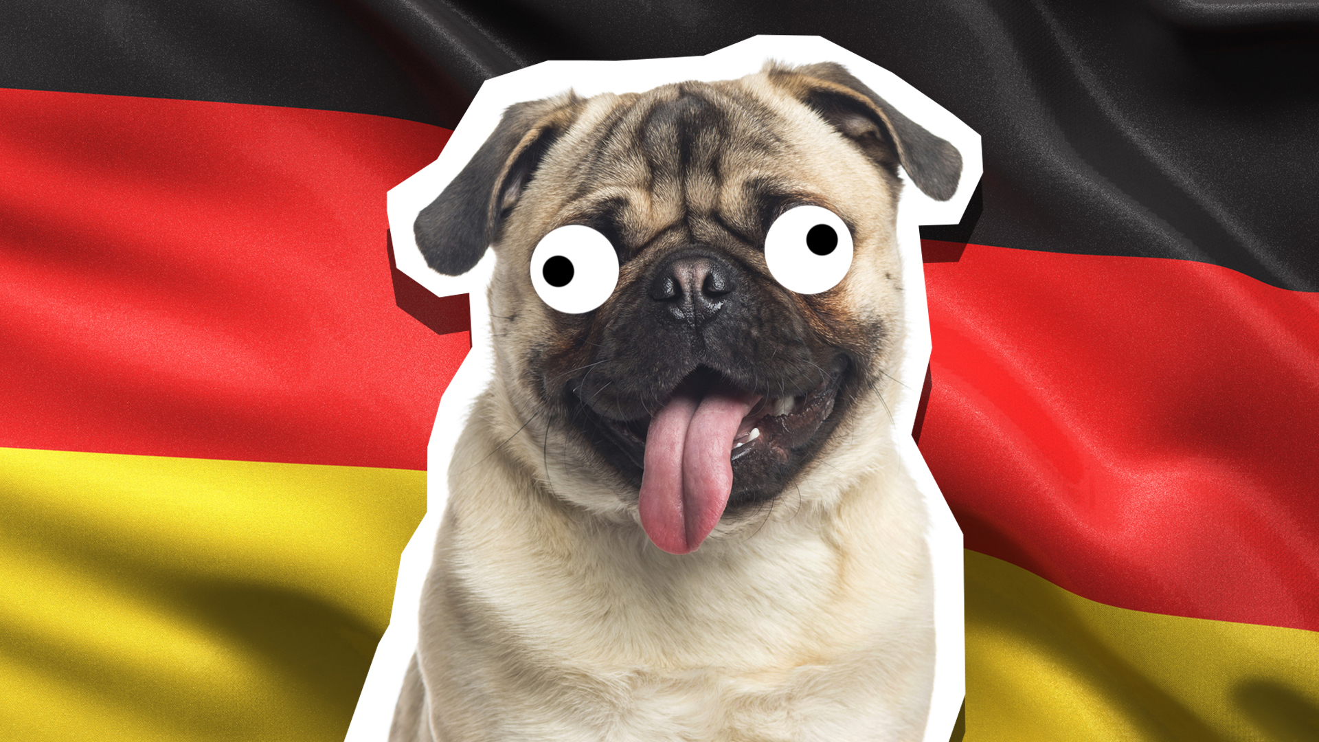 A pug standing in front of a German flag
