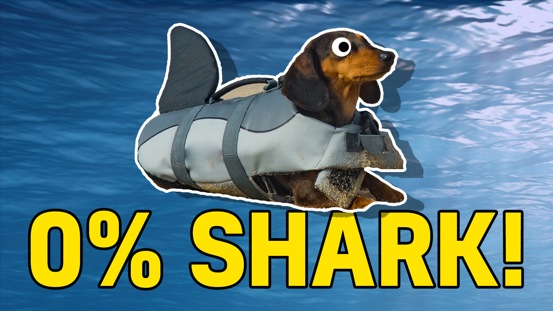 0% shark
