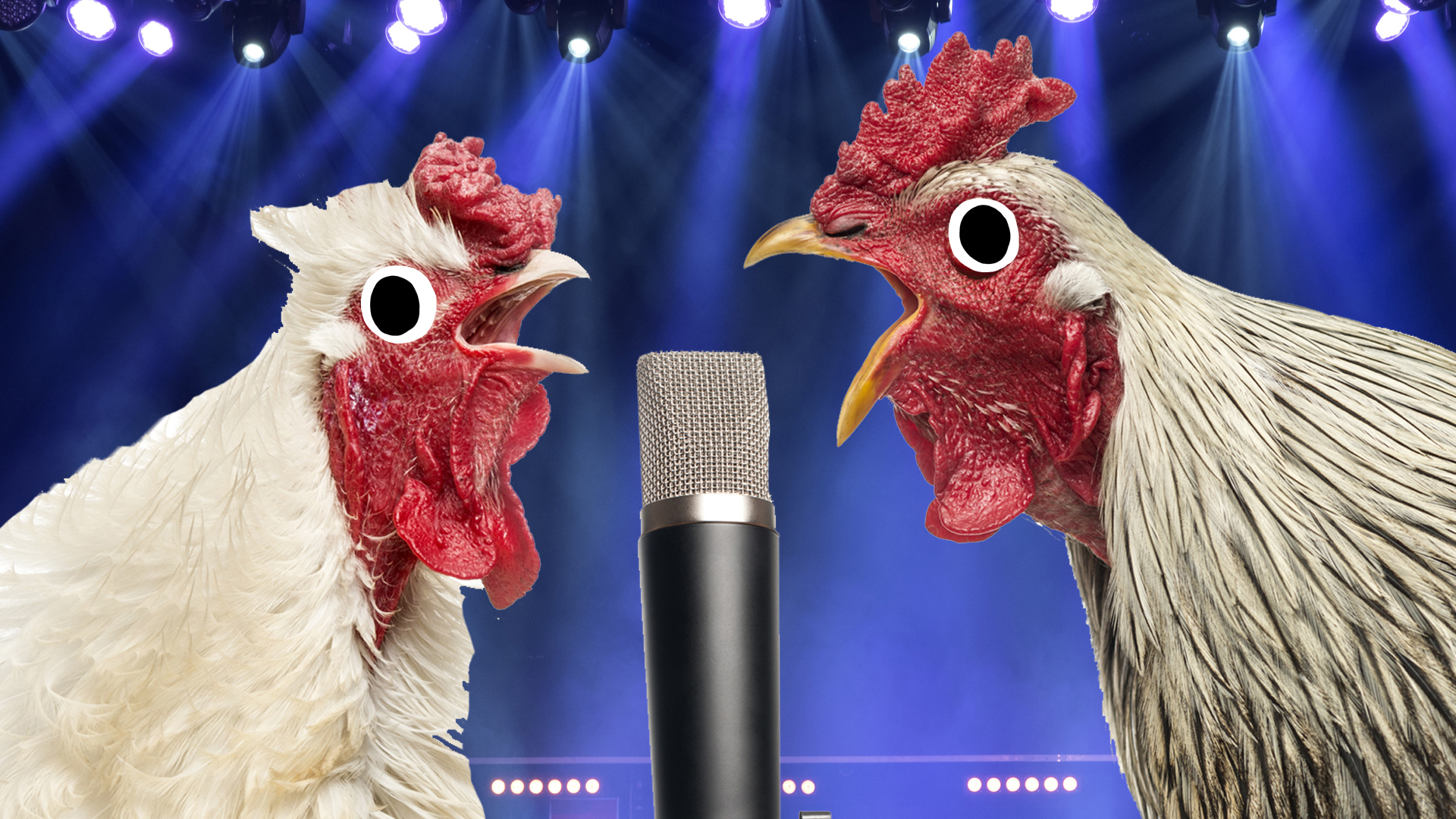 Two chickens singing into a microphone