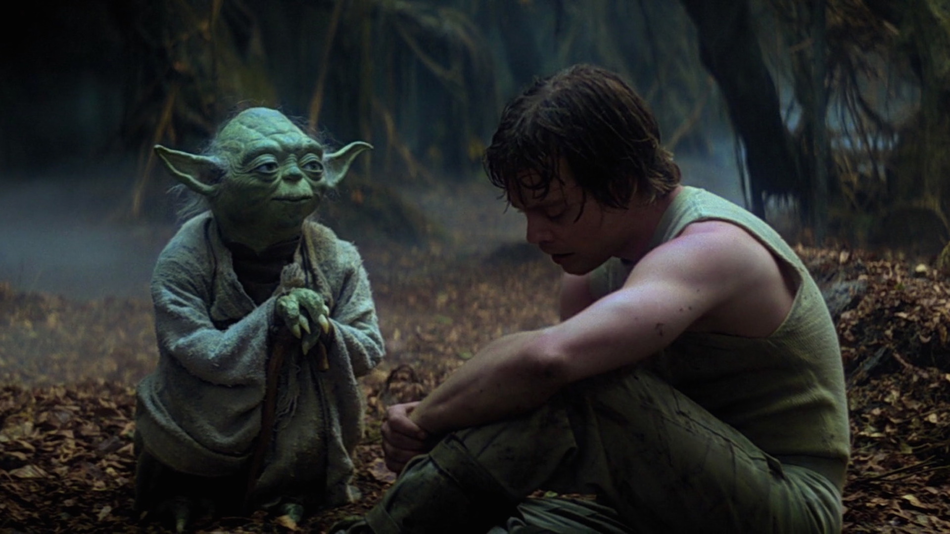 Yoda and Luke on Dagobah