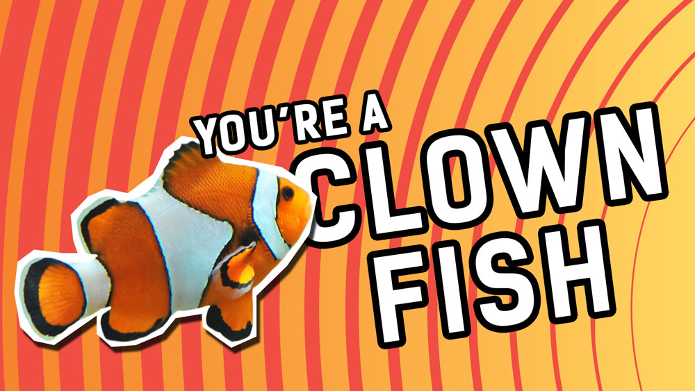 Stop clown-fishing around
