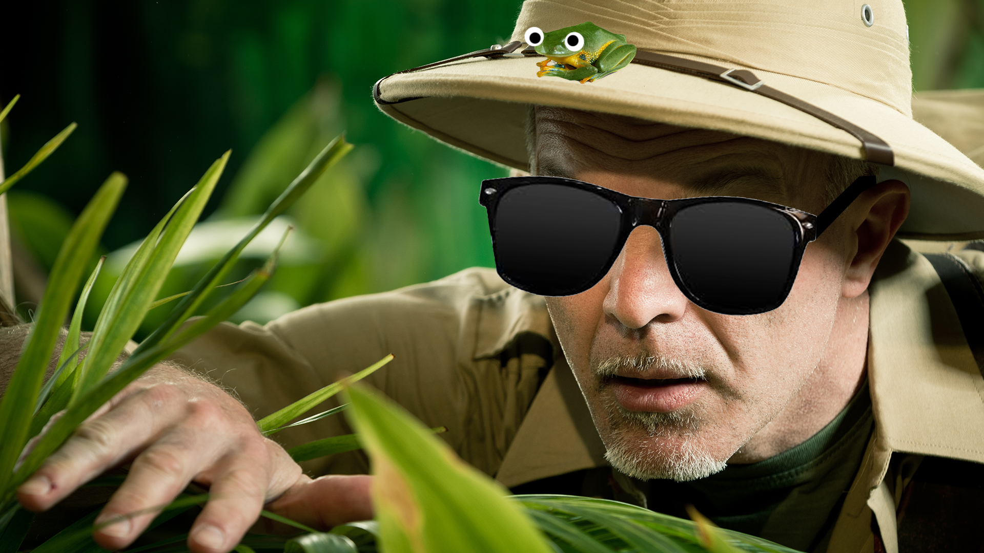 An explorer searching for a flying frog