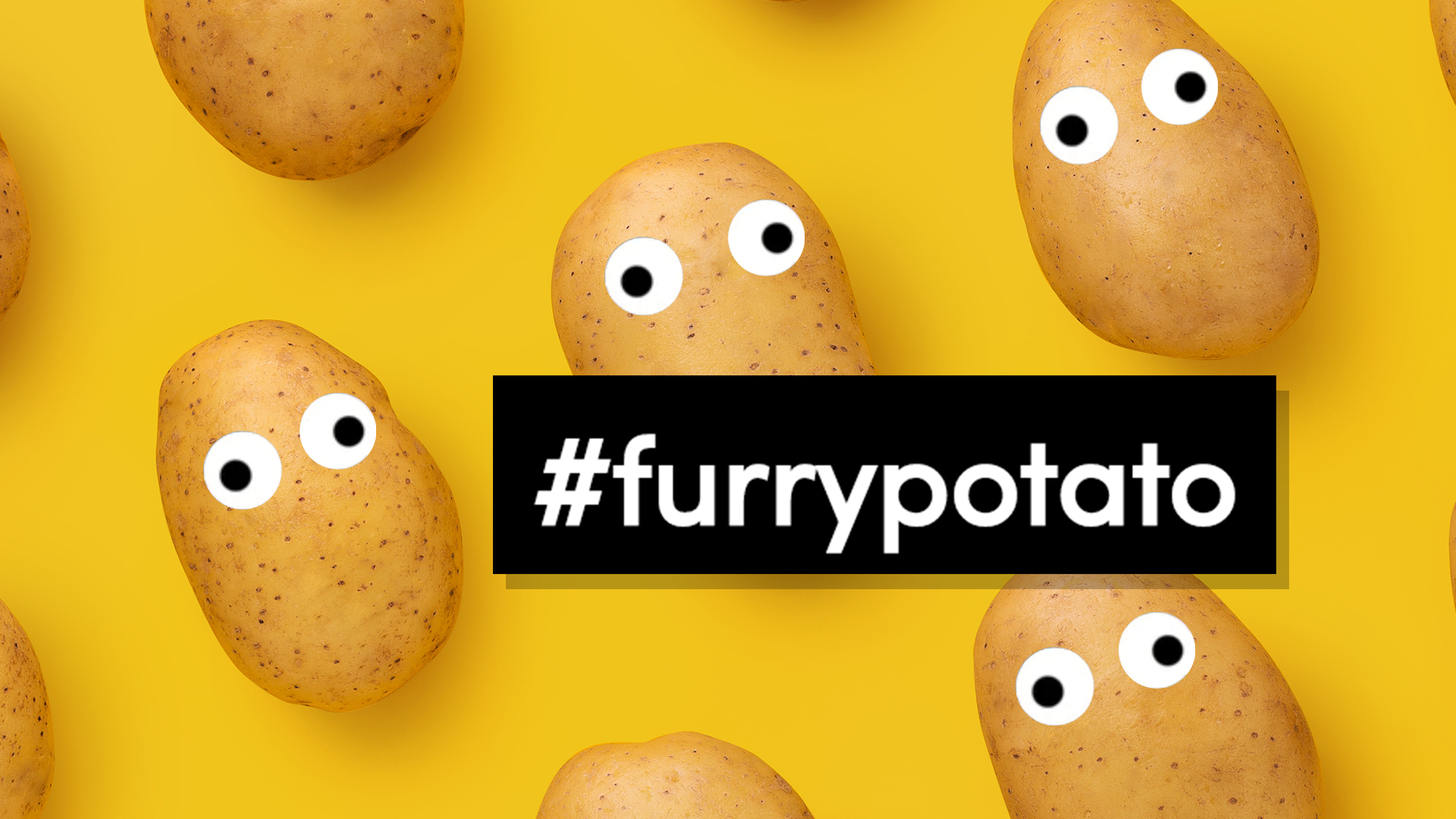 Some potatoes with the hashtag furry potato